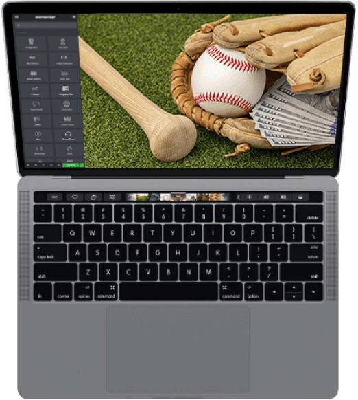 Flexible Theme Options